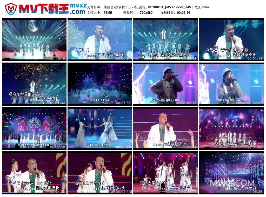 唐满意-意满情长_国语_流行_ME700204